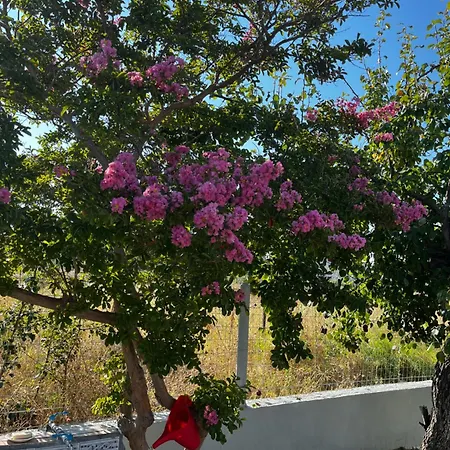 Lejlighed Chris & Mary Comfort Néa Irákleia